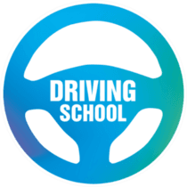 Driving School NI logo